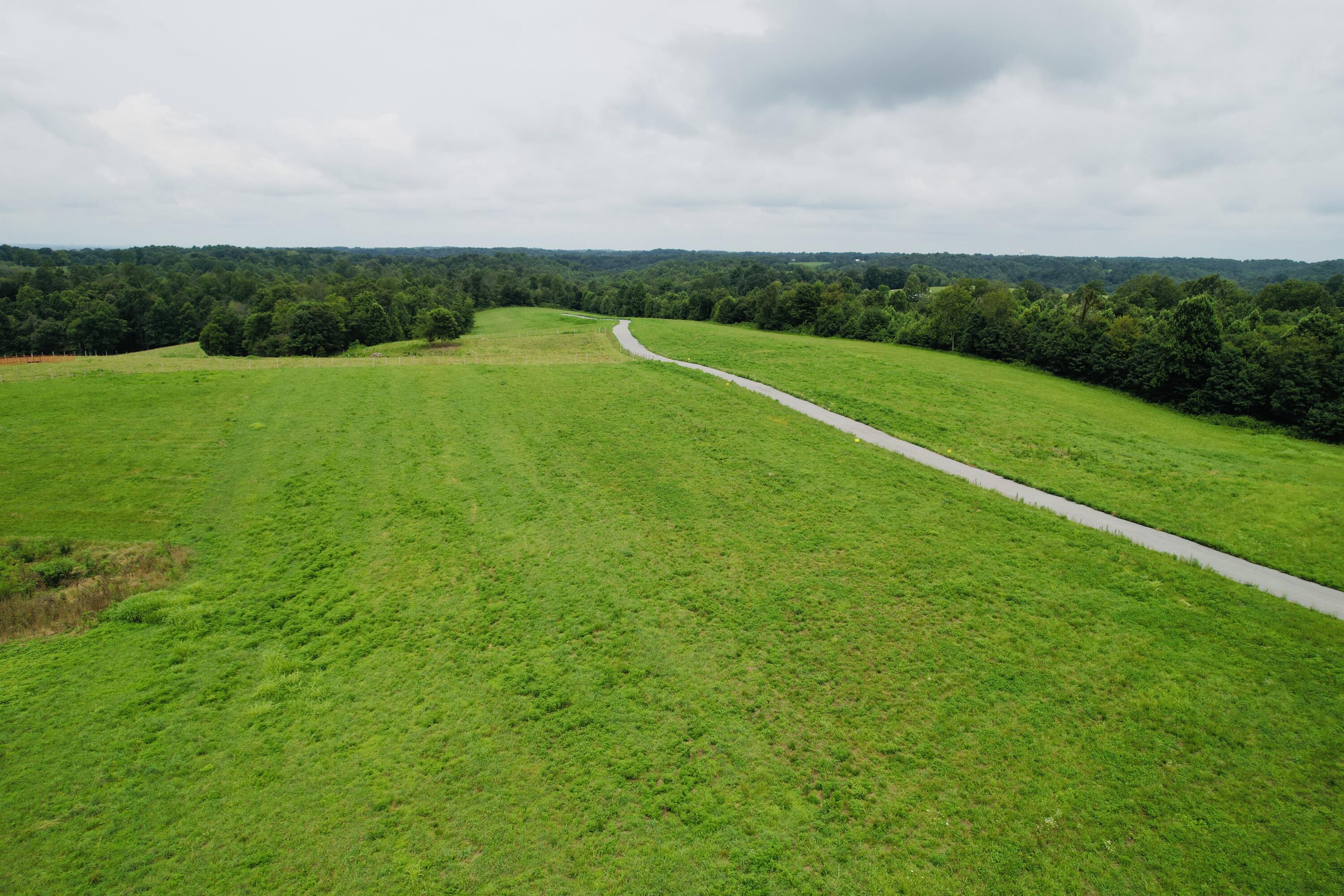 18-19 Purdy Sano Road Columbia, KY 42728 - Photo 6 of 18 dji_fly_20230713_105302_519_168926388799