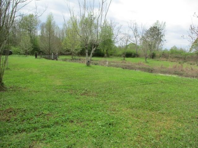 18306 East Bell Road Amite, LA 70422 - Photo 10 of 11