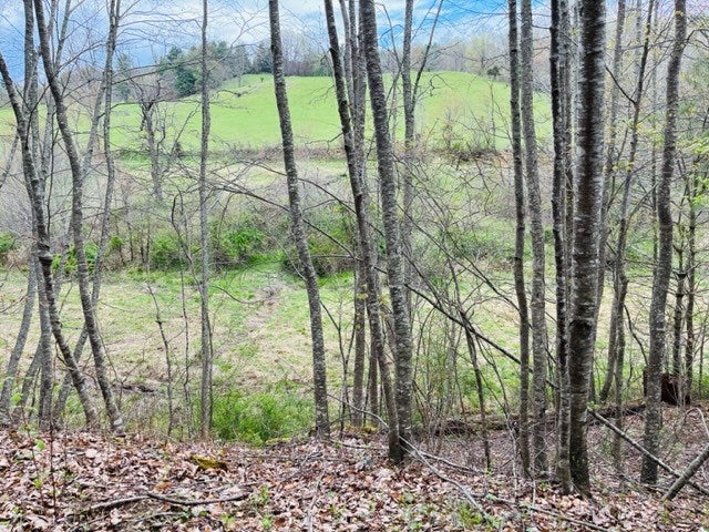 2652 Briar Patch Mountain Road Fries, VA 24330 - Photo 43 of 45 Gallery Image 43