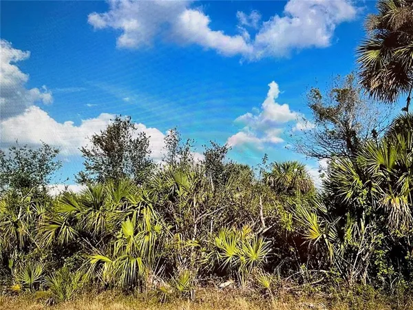 a view of a bunch of trees