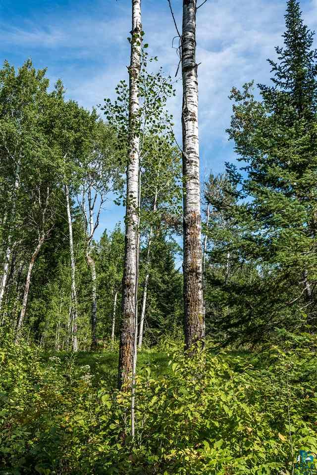 54-xx Martin Road Duluth, MN 55811 - Photo 4 of 8