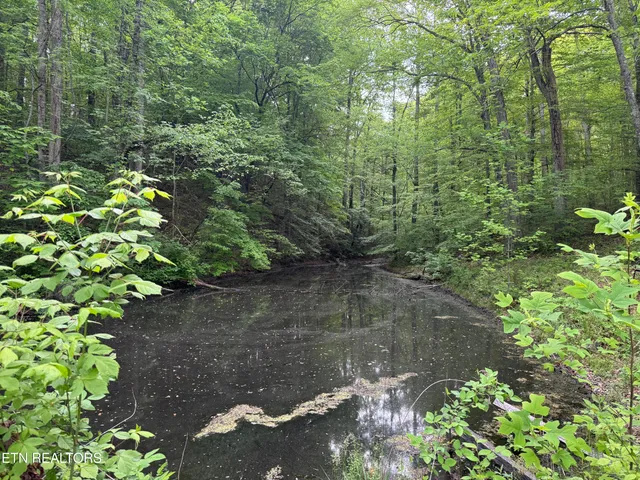 $129,000 | 3441 Glendale Road, Bybee, TN 37713