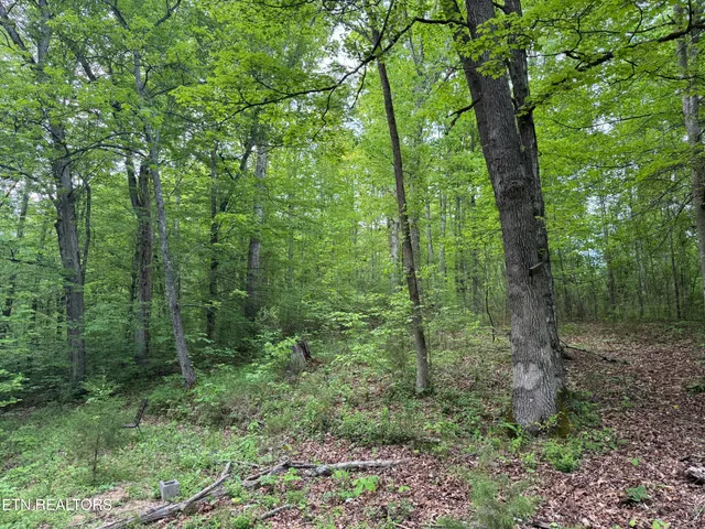 $129,000 | 3441 Glendale Road, Bybee, TN 37713