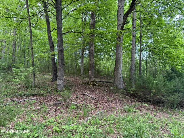 $129,000 | 3441 Glendale Road, Bybee, TN 37713