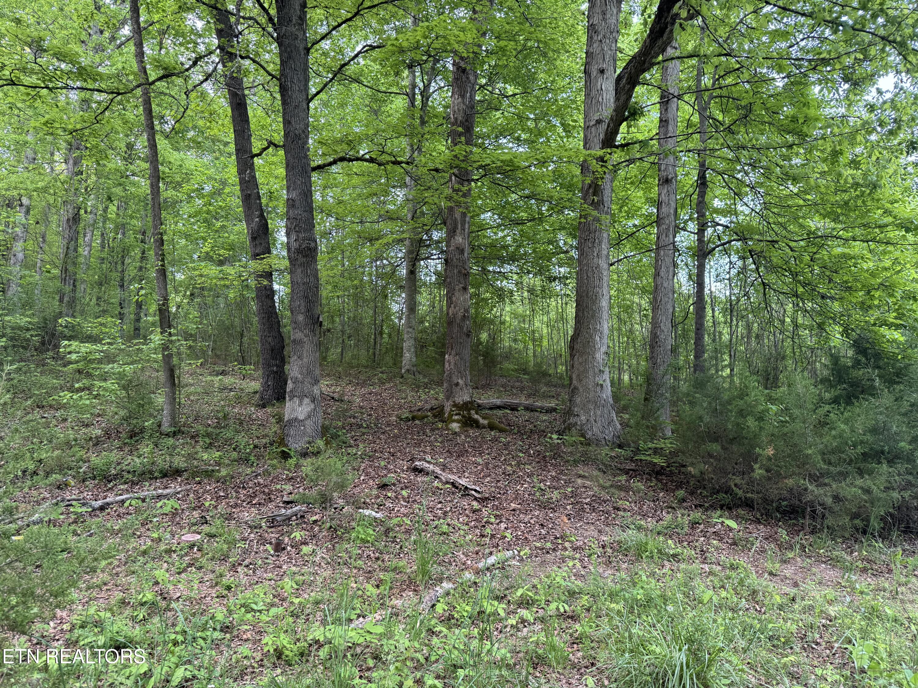 3441 Glendale Road Bybee, TN 37713 - Photo 14 of 16 IMG_4747