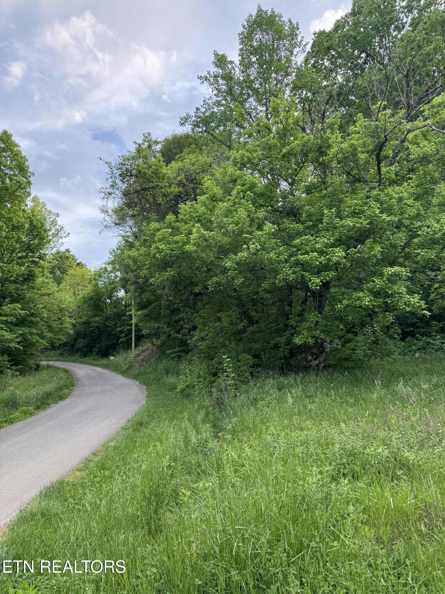 3441 Glendale Road Bybee, TN 37713 - Photo 10 of 16 IMG_4751