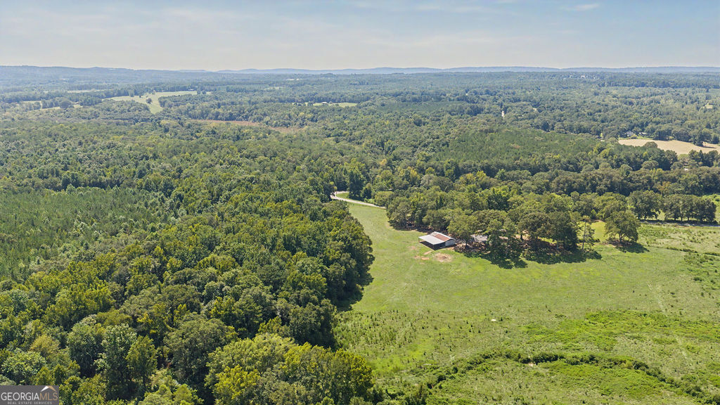 3545 Temple Dukes Road Woodbury, GA 30293 - Photo 55 of 57 Gallery Image 55