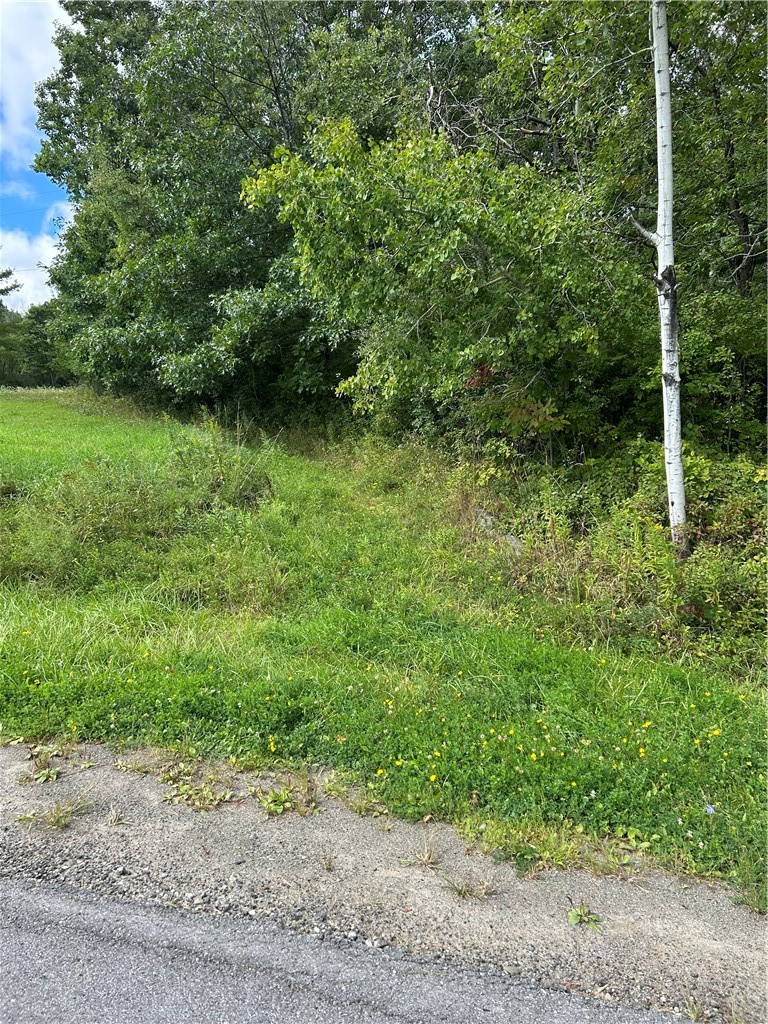 0 Pre Emption Road Watkins Glen, NY 14891 - Photo 3 of 5 Roughed-in Driveway