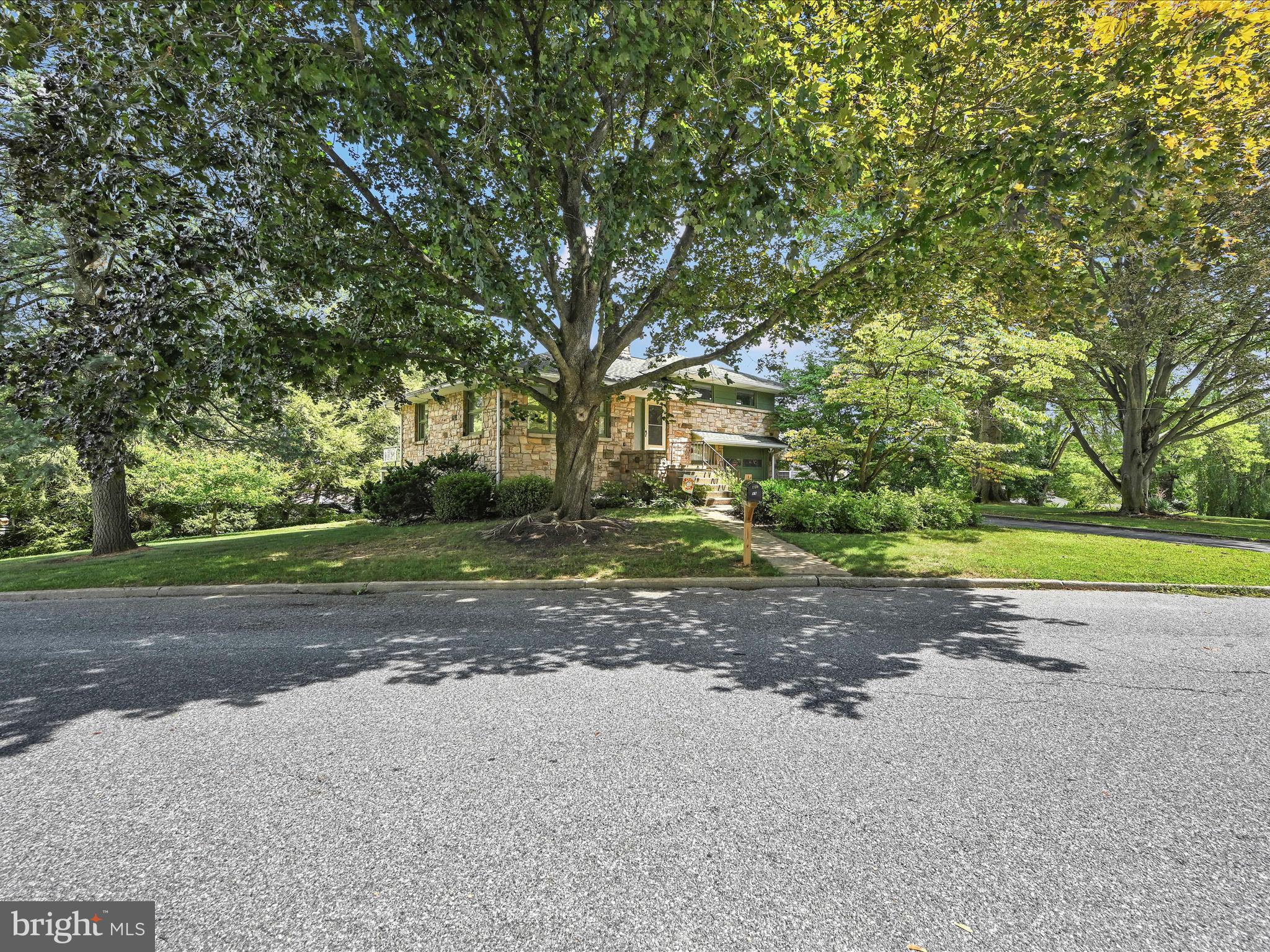 49 Sylvania Road Hershey, PA 17033 - Photo 29 of 29 a view of road and trees