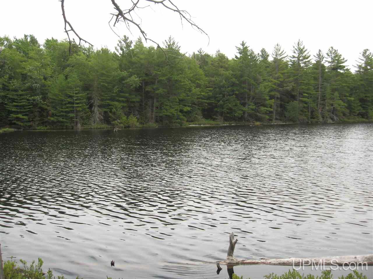 0 Rhody Cr, Unit CARTER LAKE RDP Seney, MI 49883 - Photo 25 of 36