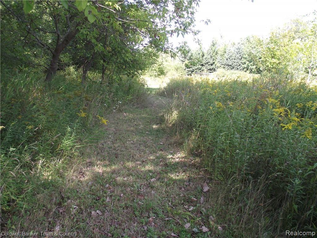 11269 Judd Road Fowlerville, MI 48836 - Photo 31 of 32 DSCF8471.JPG