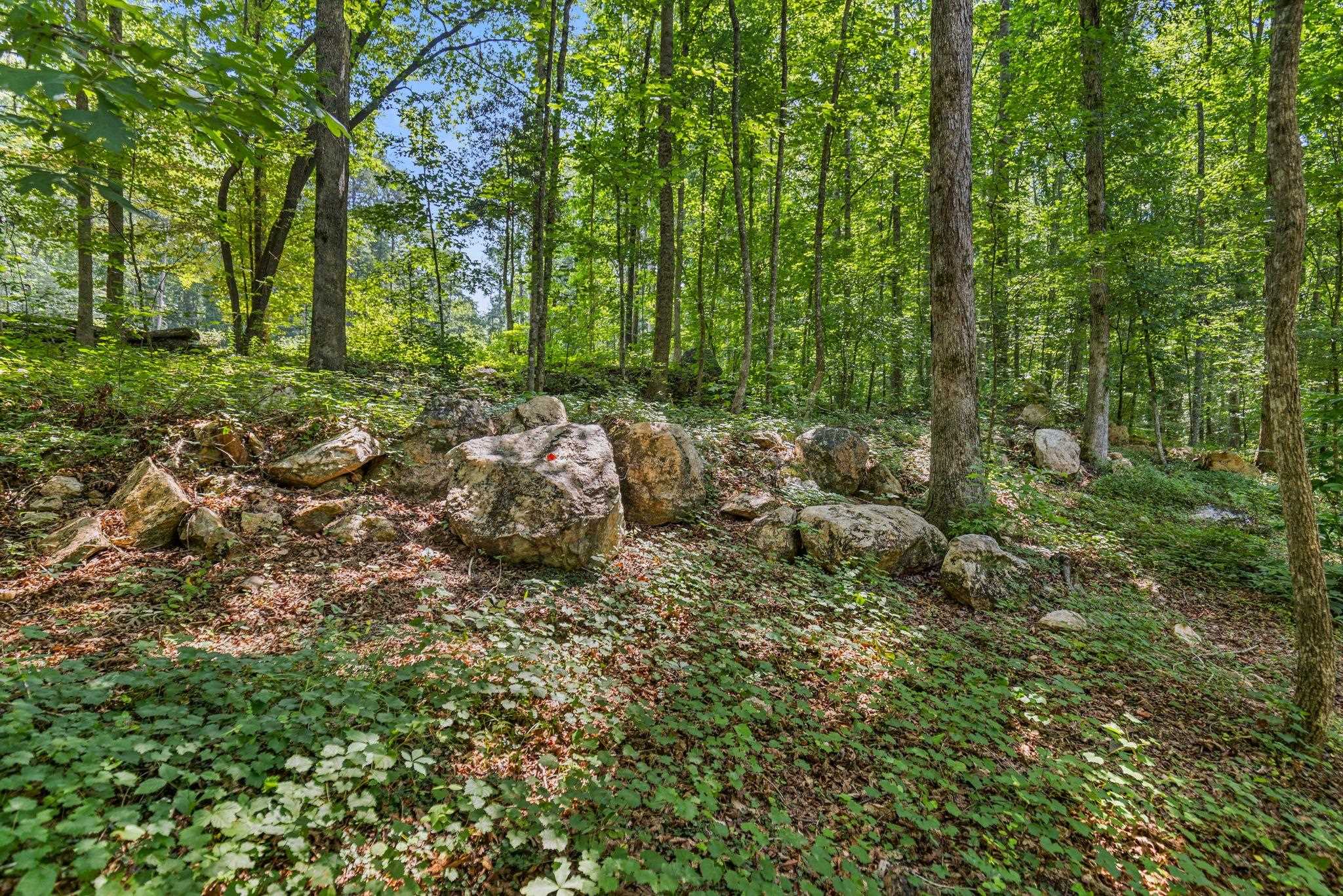 637 Odell Road Liberty, SC 29657 - Photo 16 of 19