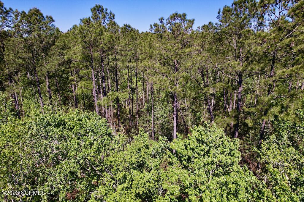 0 Arant Farm Road Merritt, NC 28556 - Photo 29 of 38 29