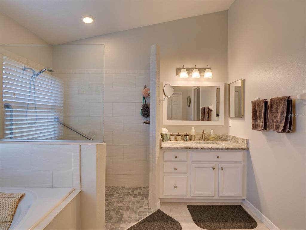4704 River Ridge Drive Leesburg, FL 34748 - Photo 21 of 40 a bathroom with a granite countertop sink a mirror and a shower