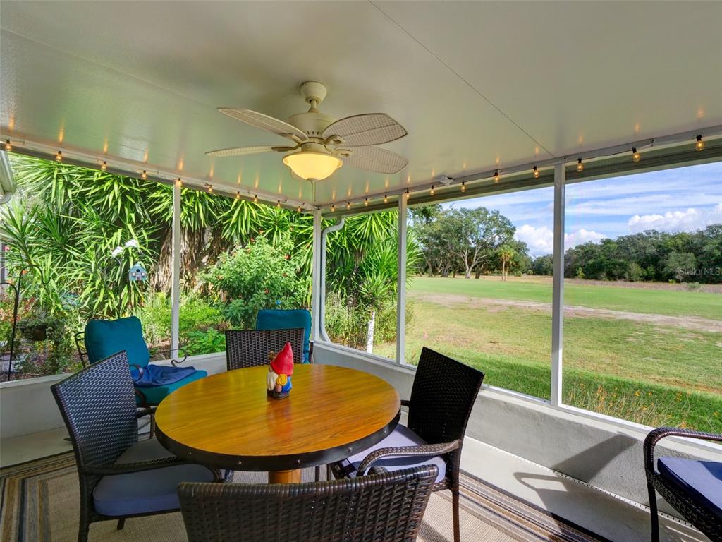 4704 River Ridge Drive Leesburg, FL 34748 - Photo 27 of 40 a backyard of a house with table and chairs