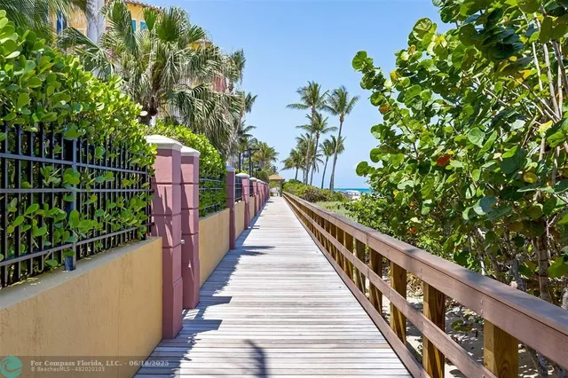 a view of a pathway with plants and large trees