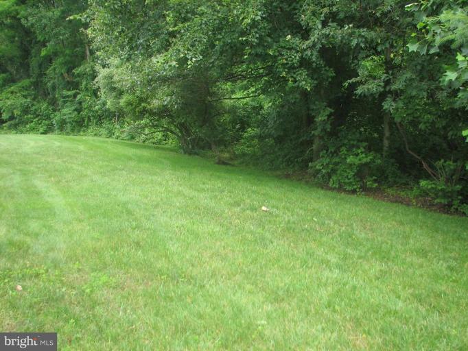 1208 Quaker Ridge Drive Arnold, MD 21012 - Photo 16 of 19 Back yard