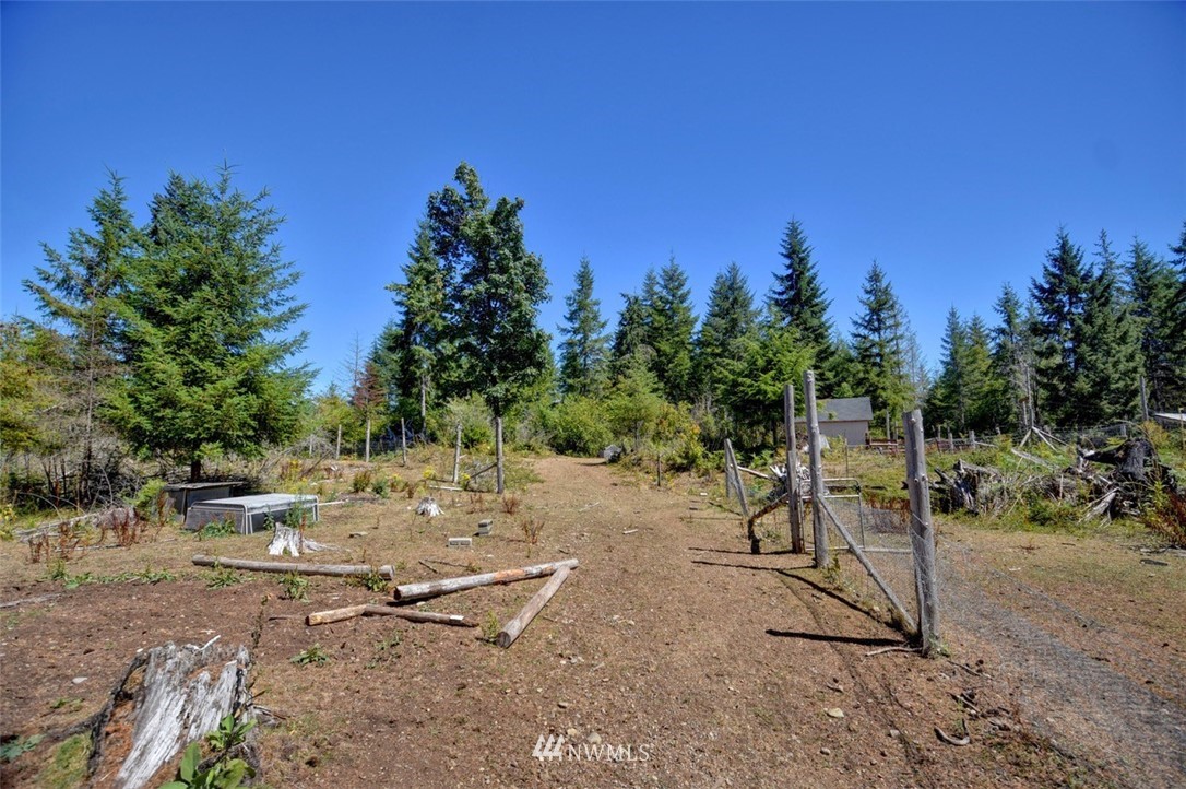 7861 Matlock-Brady Road Elma, WA 98541 - Photo 28 of 35 Gallery Image 28