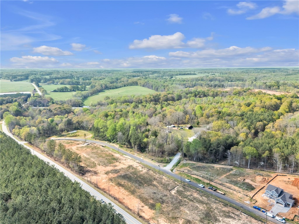 Tbd Nannies Circle Pelzer, SC 29669 - Photo 3 of 13 This elevated view captures the expansive landscape with verdant forests and clearings, hinting at developmental potential.
