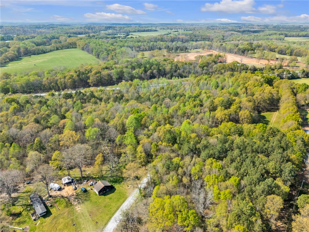 Tbd Nannies Circle Pelzer, SC 29669 - Photo 6 of 13