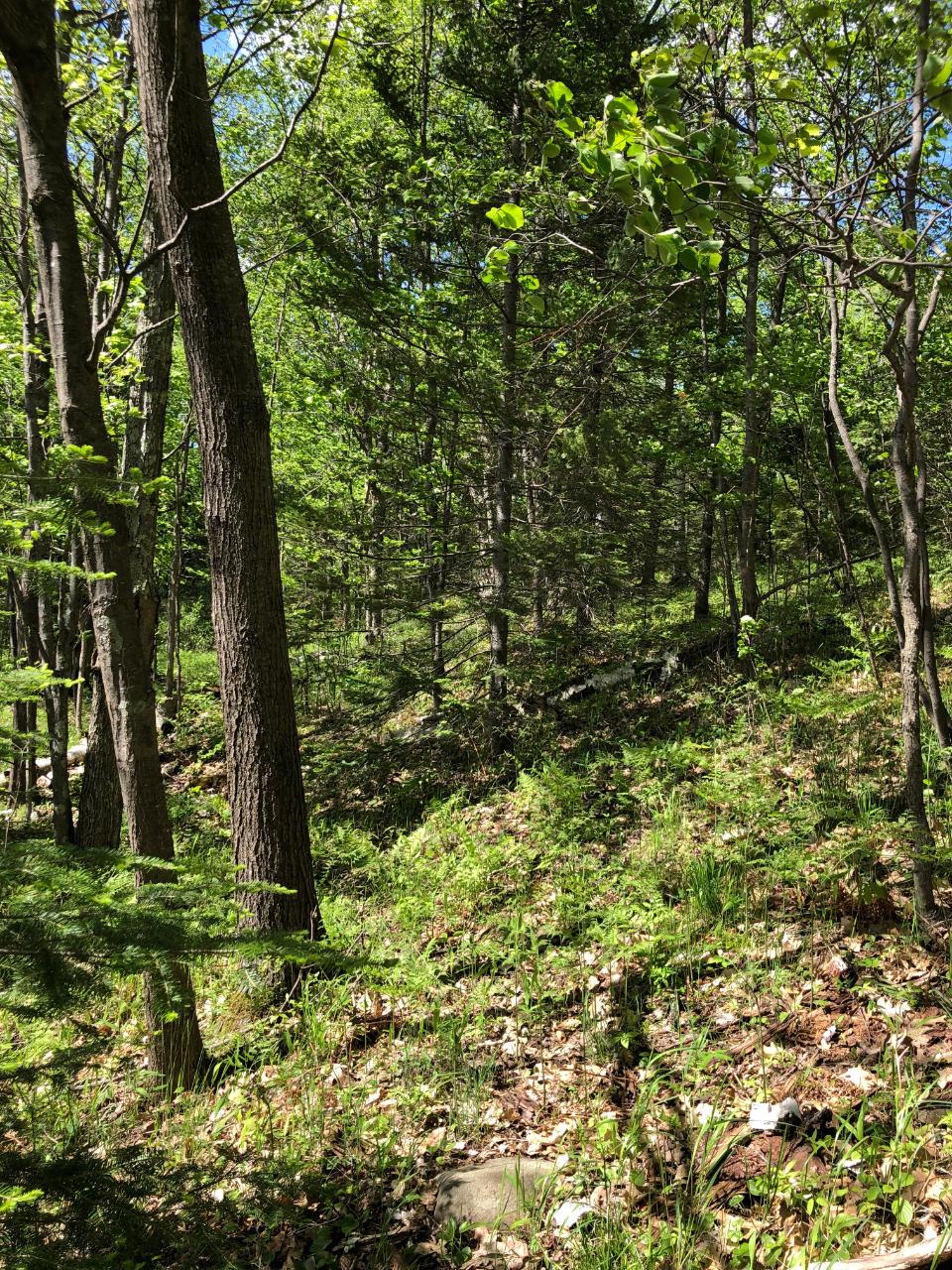 Lot 2 Kling Road Presque Isle, WI 54557 - Photo 10 of 18 Gallery Image 10