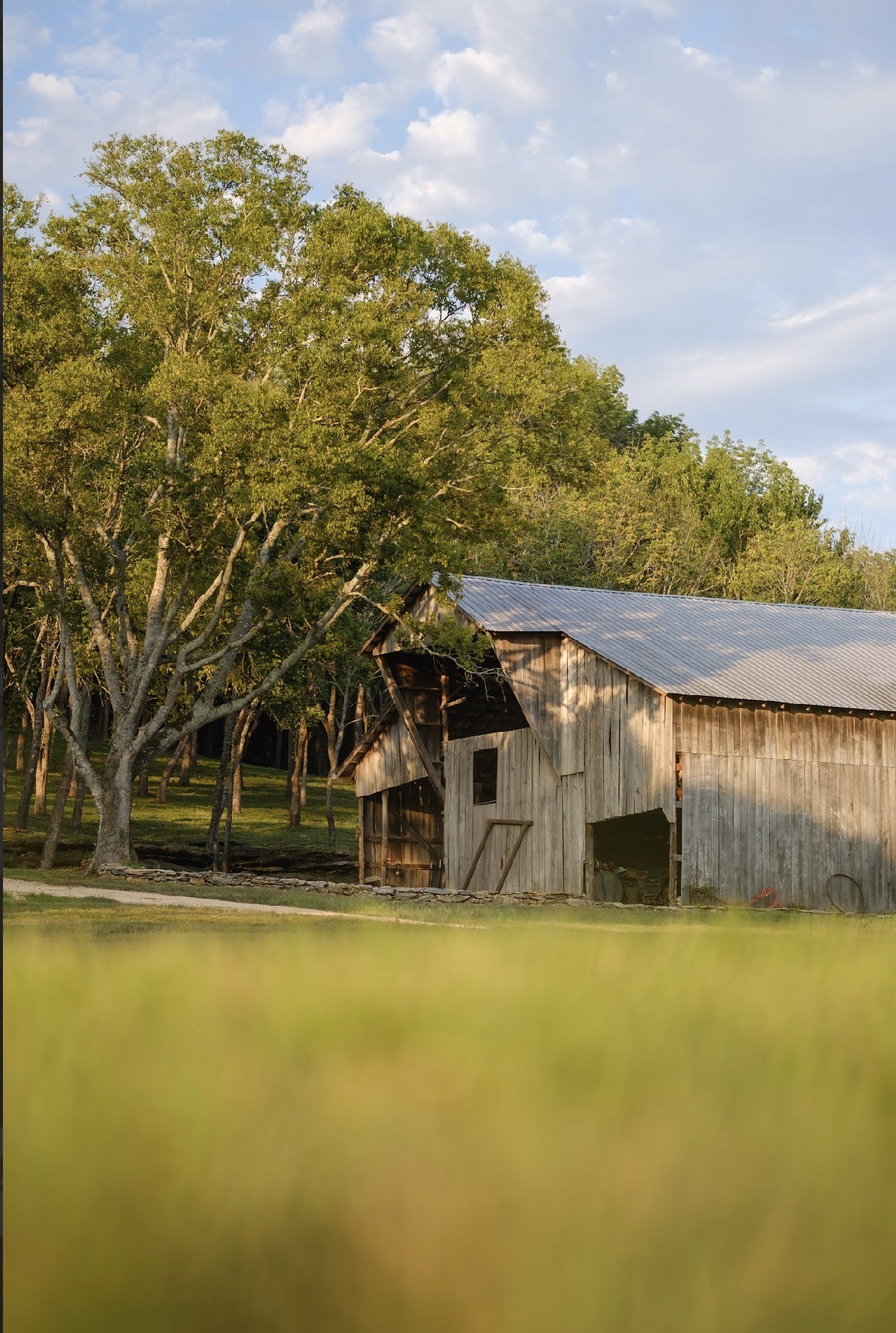 3534 Craig Bridge Road Santa Fe, TN 38482 - Photo 43 of 76 Gallery Image 43