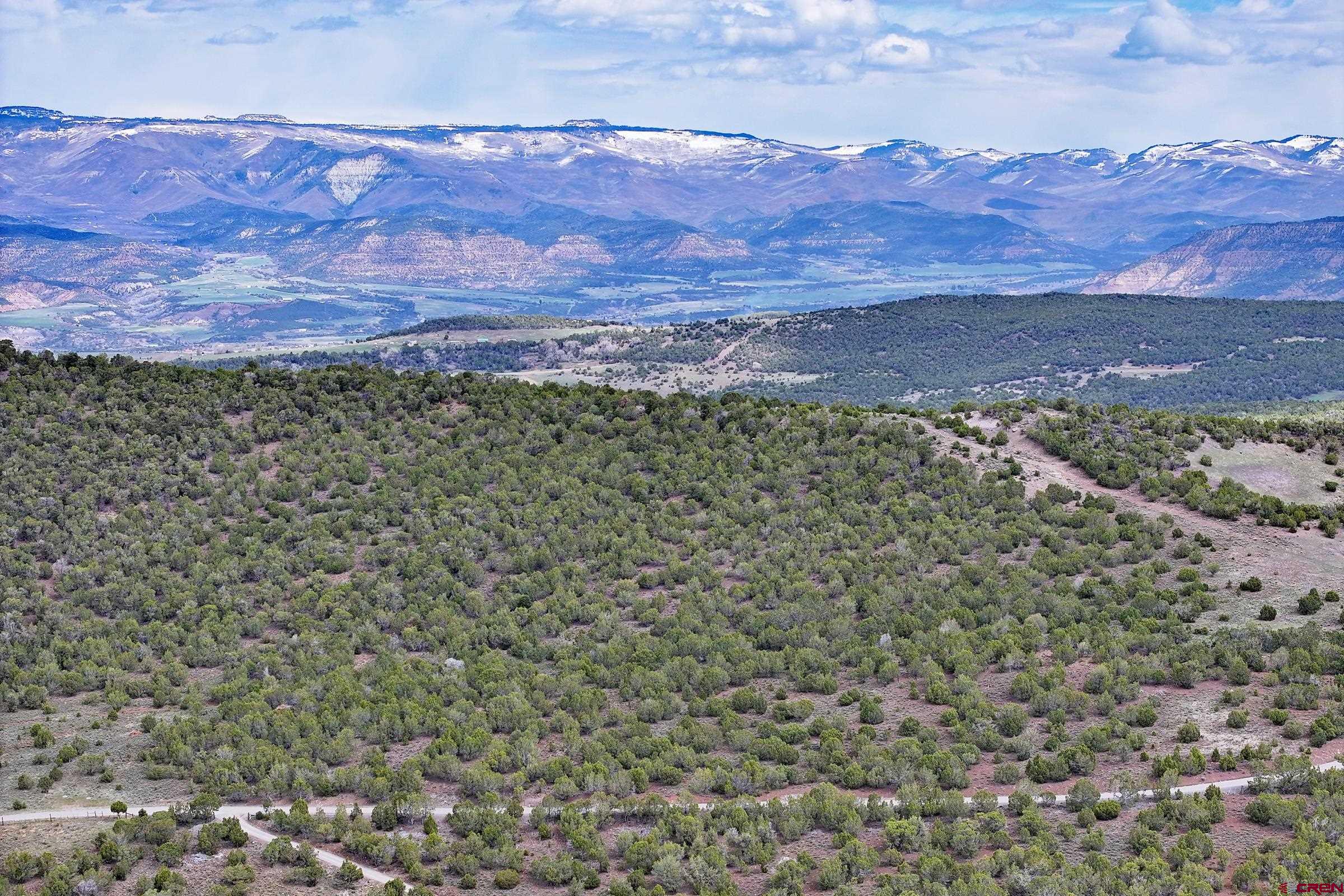 Tbd KK Road Collbran, CO 81624 - Photo 10 of 11 a view of a yard with a mountain
