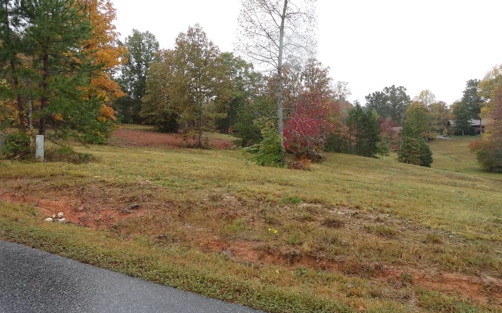 Lot 7 Country Mtn Ridge Murphy, NC 28906 - Photo 1 of 1 a fire hydrant in the middle of a field