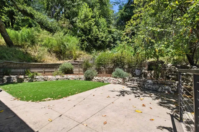 a view of a park with plants and trees