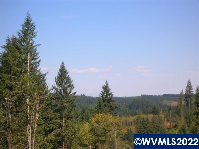Chapman Grange (lot Road, Unit 25 & 26) Scappoose, OR 97056 - Photo 2 of 7