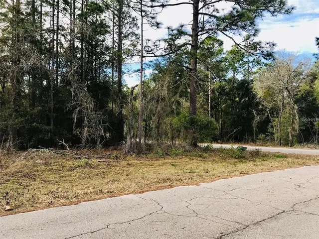 $20,000 | Tbd Northeast 15 Street, Williston, FL 32696