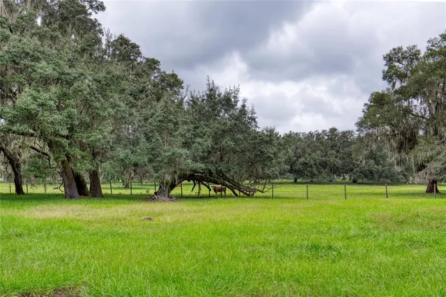 a room with furniture and wooden floor