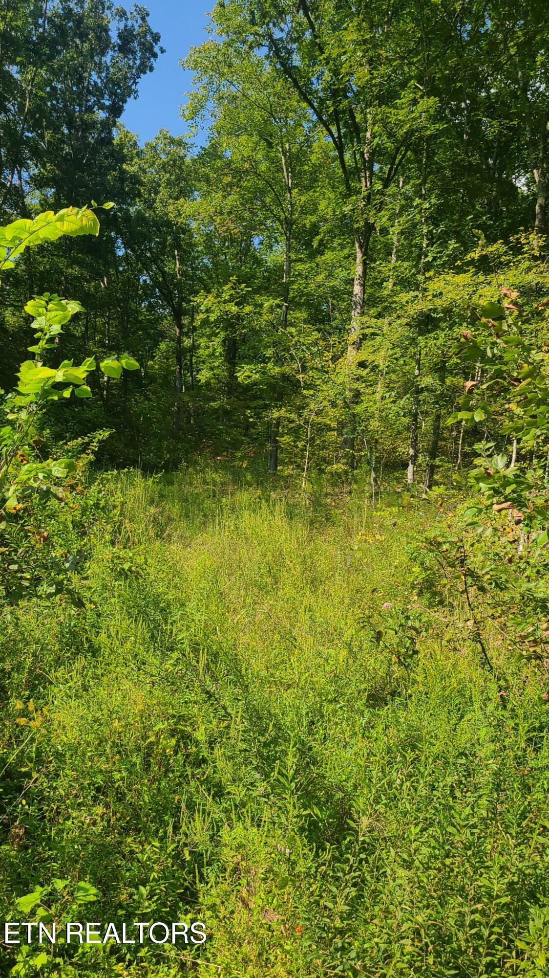 5 Mel Hall Road Maryville, TN 37803 - Photo 2 of 9 20250911_164219