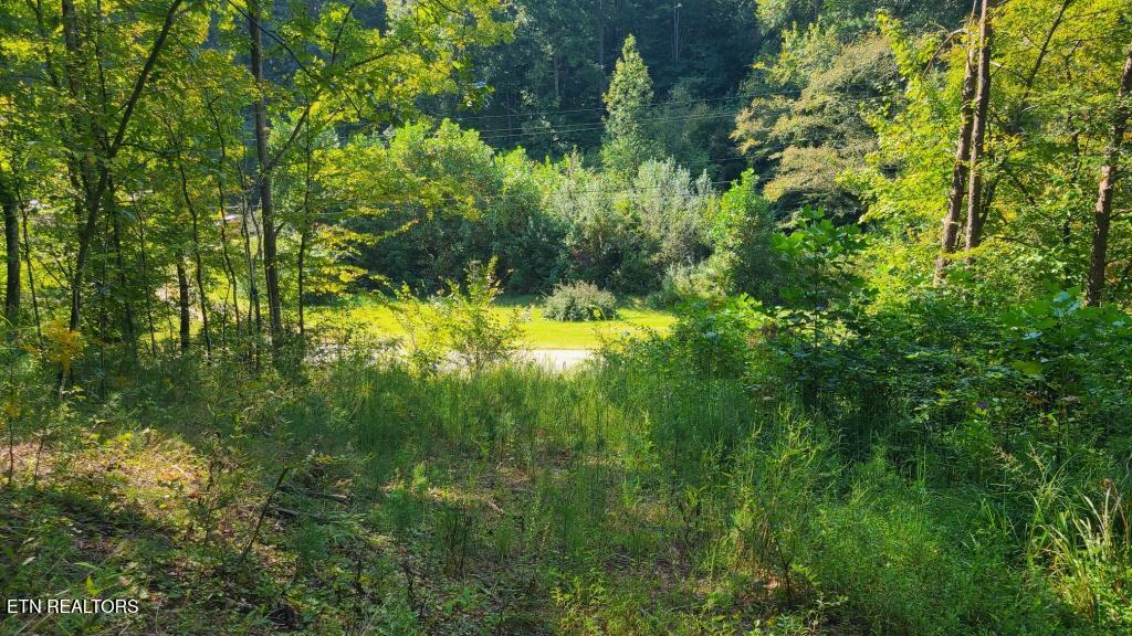 5 Mel Hall Road Maryville, TN 37803 - Photo 6 of 9 `one quarter in looking back to road