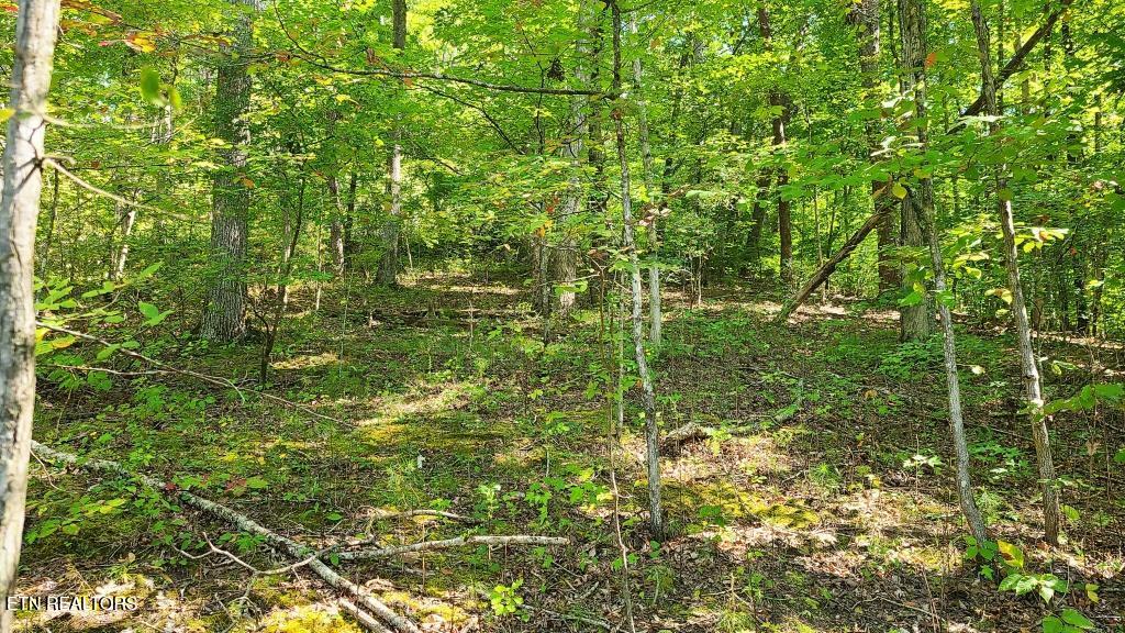 5 Mel Hall Road Maryville, TN 37803 - Photo 7 of 9 `one quarter in to the right 2