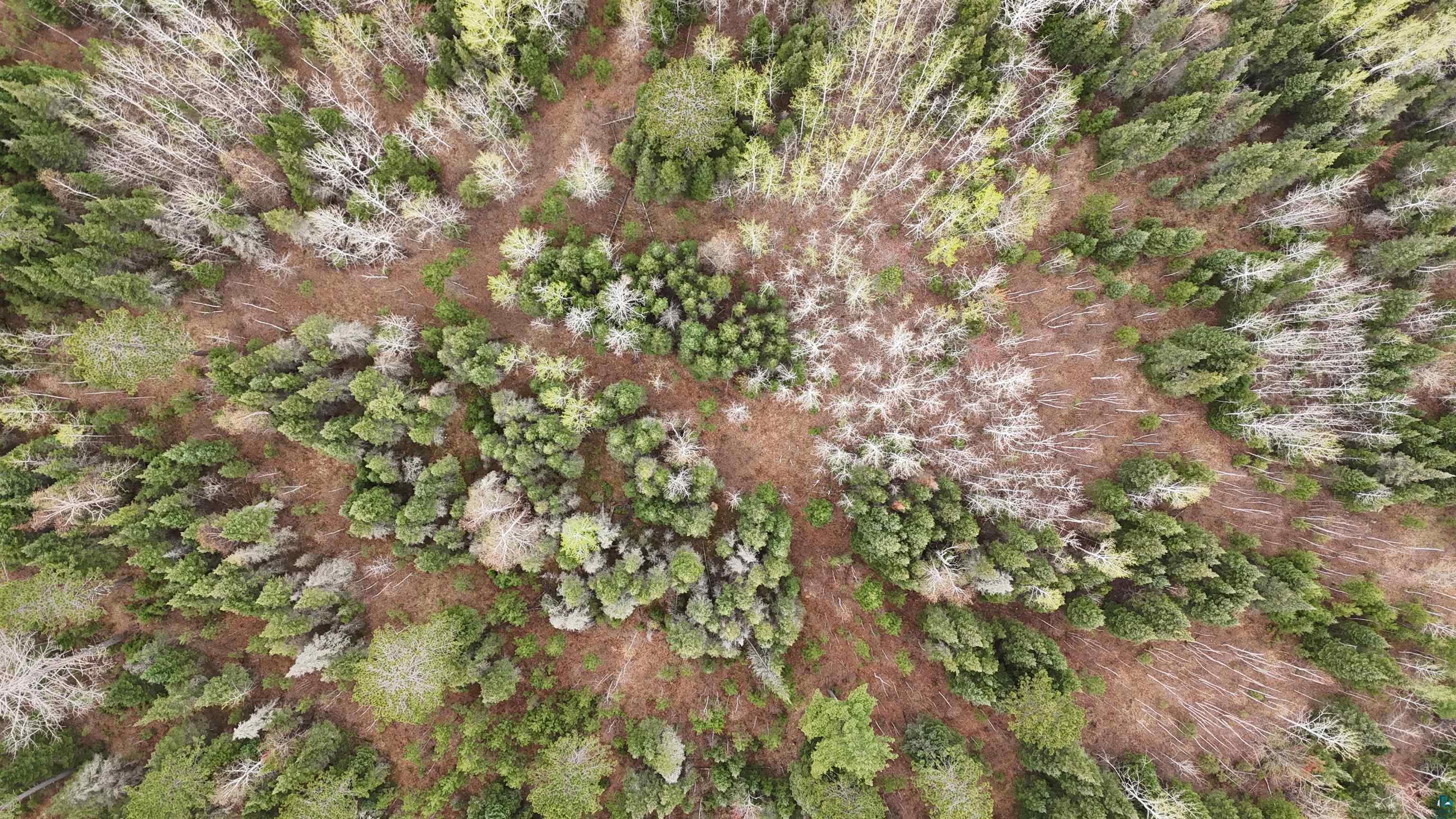 Tbd Scout Camp Road Eveleth, MN 55734 - Photo 7 of 15