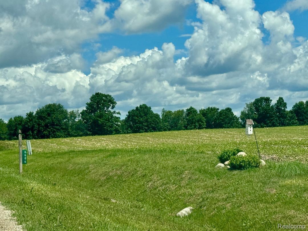6686 South Schott Road Mayville, MI 48744 - Photo 22 of 25 mailbox across the road...