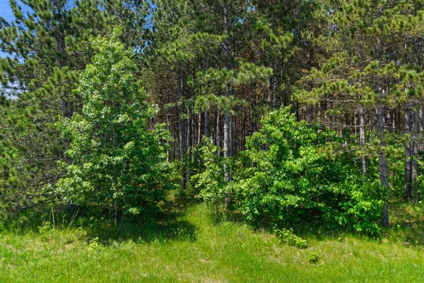 $70,000 | 399 Twin Lakes Drive, Nekoosa, WI 54457