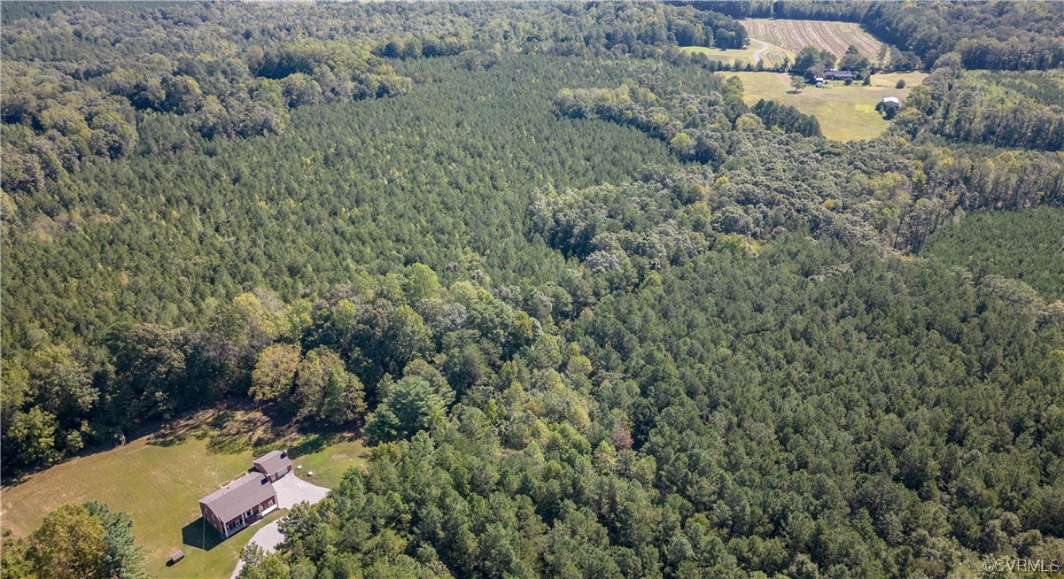 15073 Neck Trail Doswell, VA 23047 - Photo 46 of 50