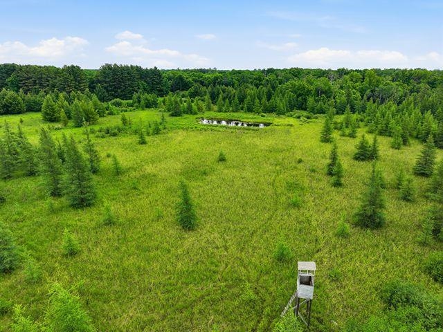 0 Holst Road Pittsville, WI 54466 - Photo 5 of 18