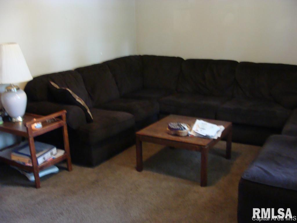 1817 Albert Street Springfield, IL 62702 - Photo 3 of 15