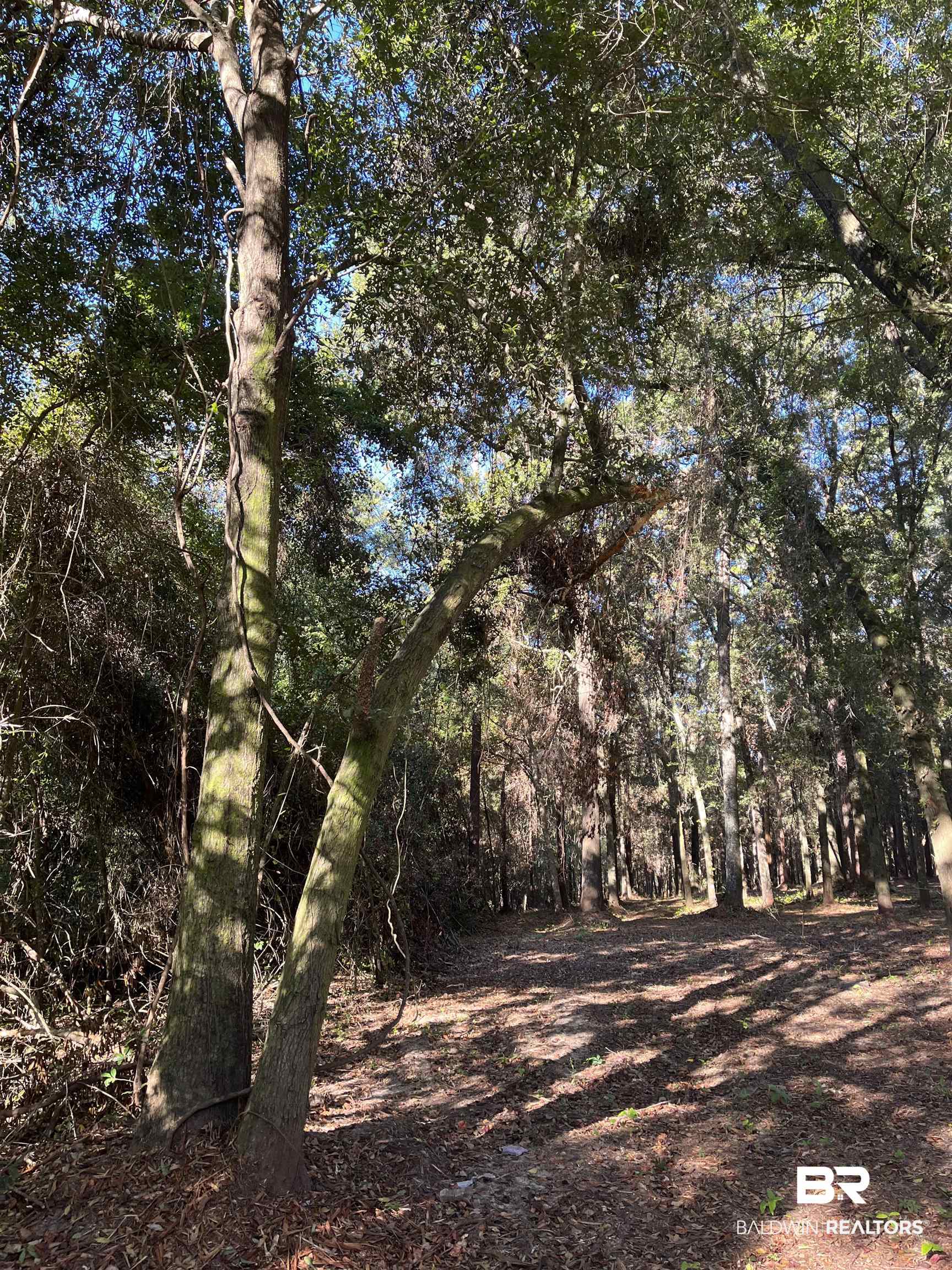 0 Forest Dell Road Mobile, AL 36618 - Photo 1 of 8