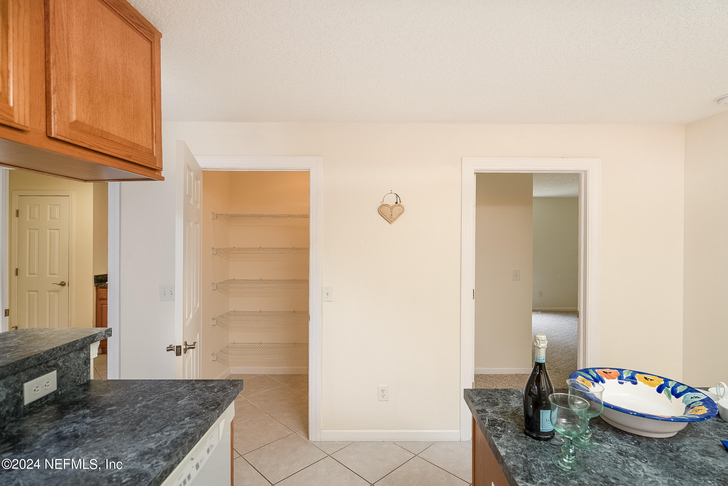8190 Morrison Road Hastings, FL 32145 - Photo 19 of 58 Kitchen pantry