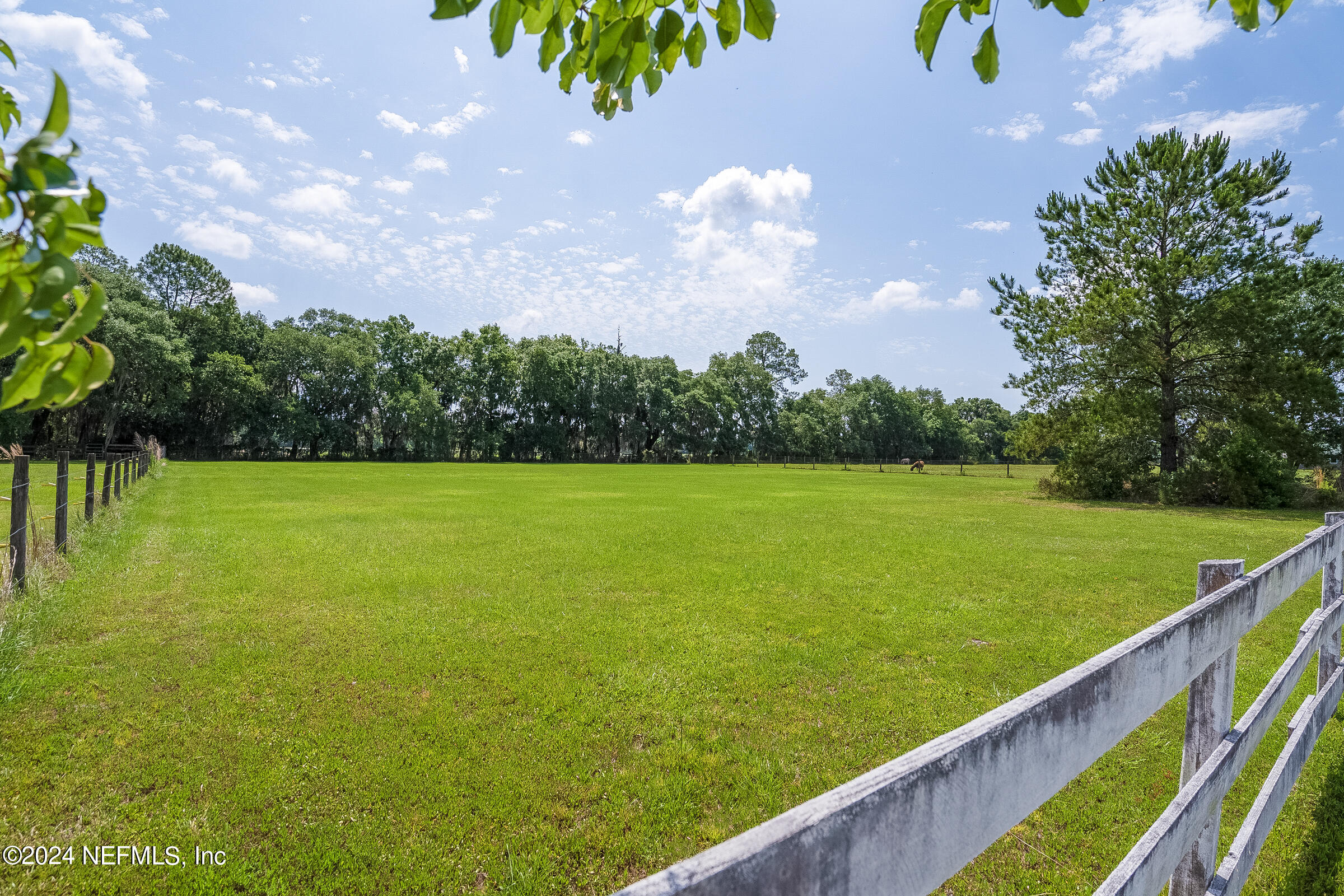 8190 Morrison Road Hastings, FL 32145 - Photo 45 of 58 Back of property