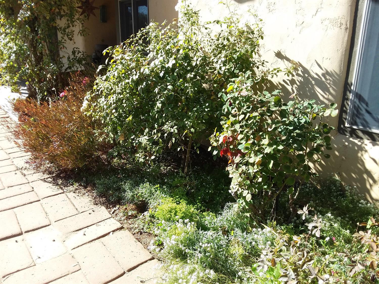 1050 Ben Hur Road Raymond, CA 93653 - Photo 14 of 38 Gallery Image 14