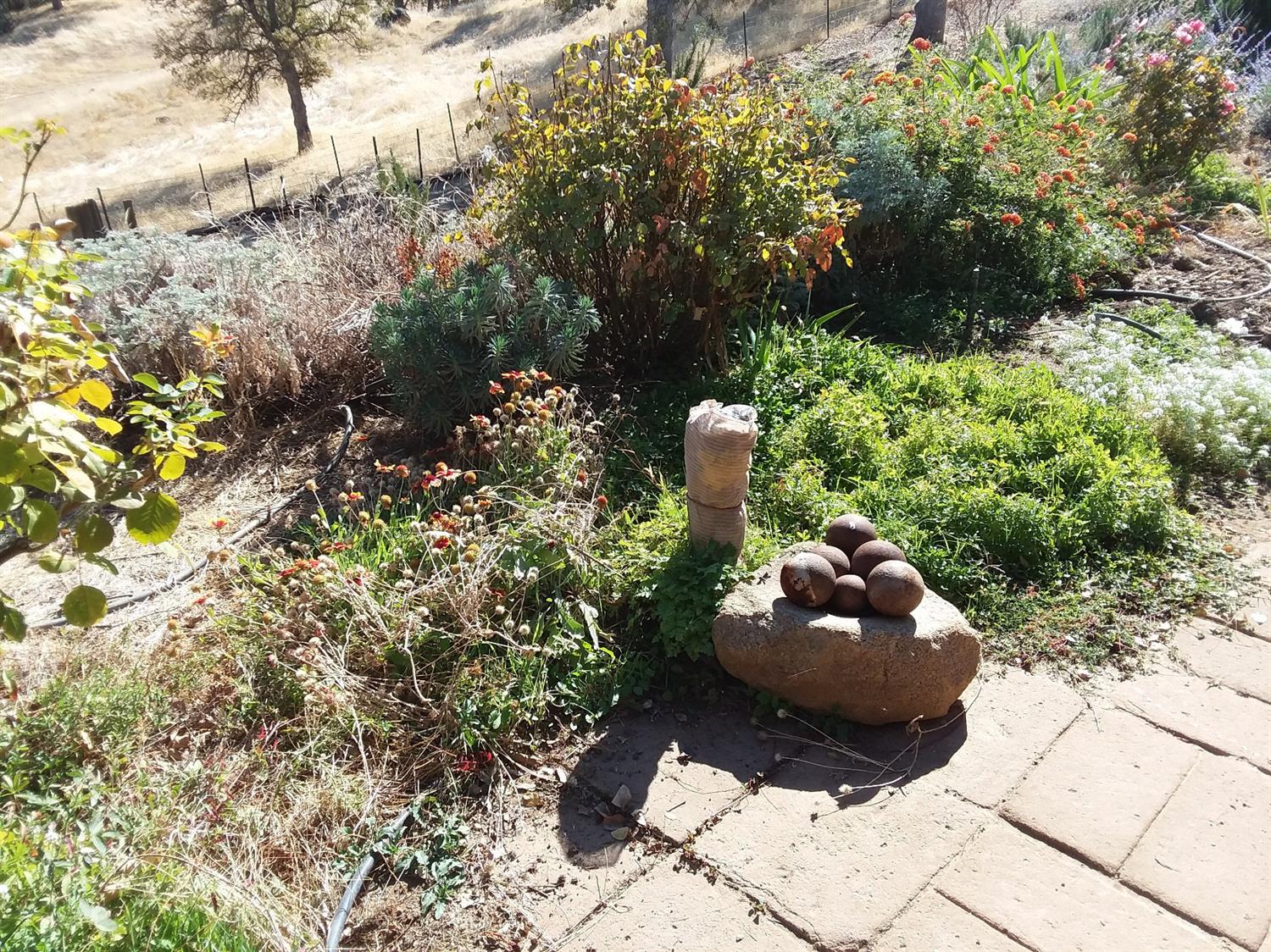 1050 Ben Hur Road Raymond, CA 93653 - Photo 15 of 38 Gallery Image 15