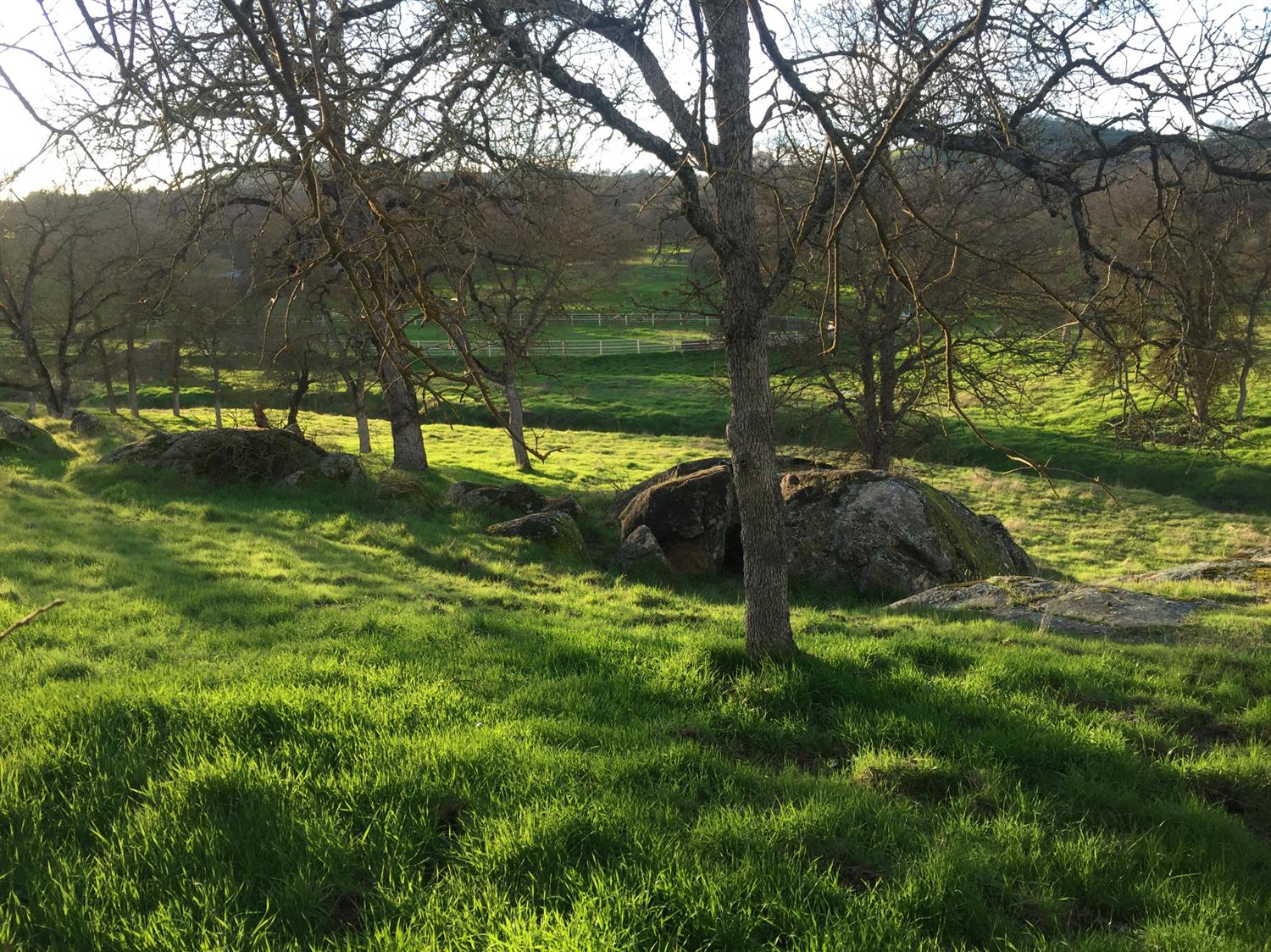 1050 Ben Hur Road Raymond, CA 93653 - Photo 9 of 38 Gallery Image 9