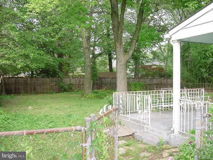 Patio and Back Yard