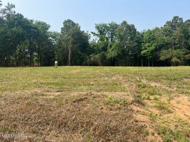 2 Bolin Road Hernando, MS 38632 - Photo 2 of 7 IMG_4399