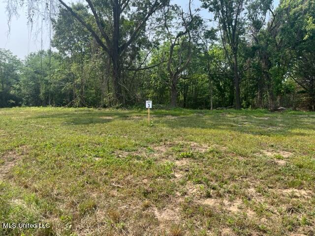 2 Bolin Road Hernando, MS 38632 - Photo 3 of 7 IMG_4400